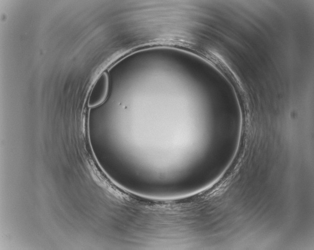 X0000057090900200509120916