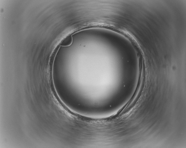 X0000057090902200509120916