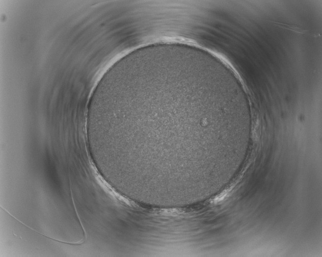 X0000057090903200509120916