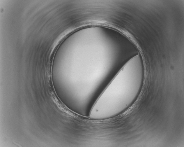 X0000057090904200509120916