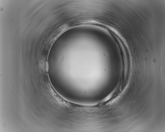 X0000057090905200509120916