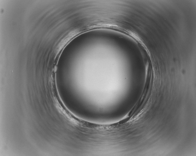 X0000057090906200509120916