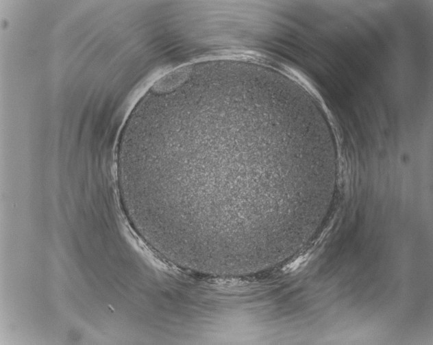 X0000057090907200509120916