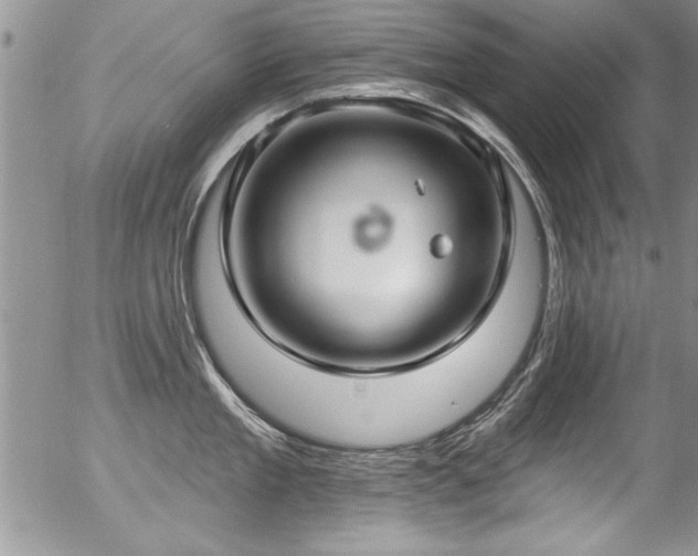 X0000057090909200509120916