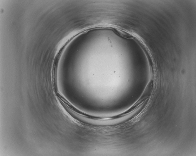 X0000057090910200509120916