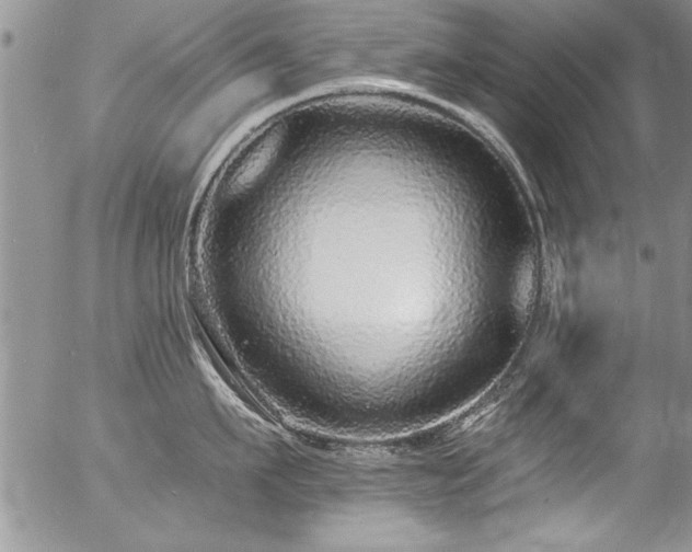 X0000057090911200509120916