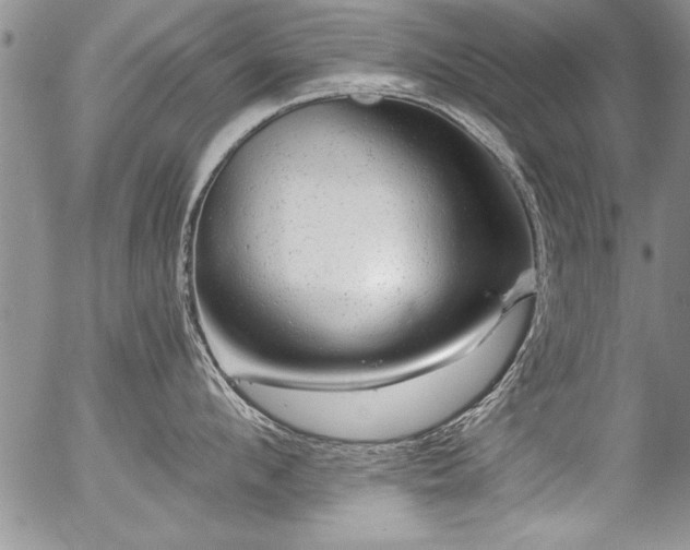 X0000057090912200509120916