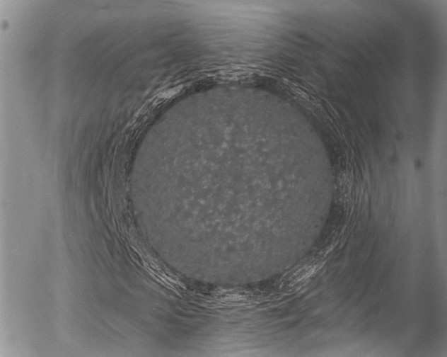 X0000057090913200509120915