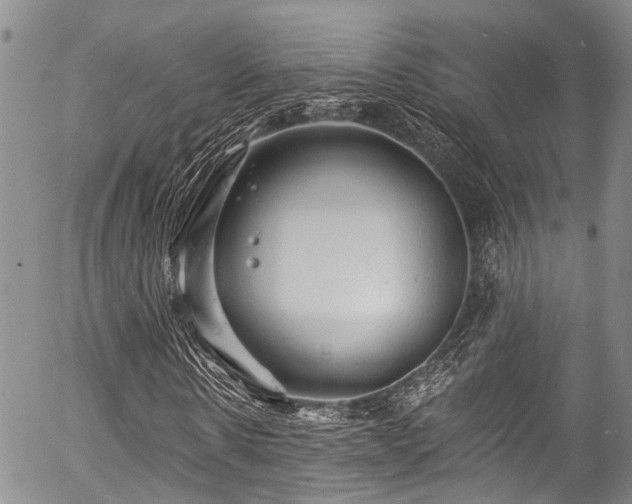 X0000057090914200509120915