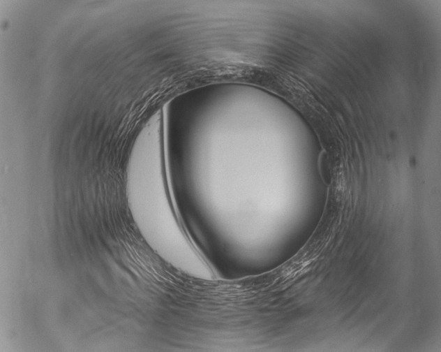 X0000057090916200509120915