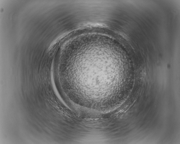 X0000057090919200509120915