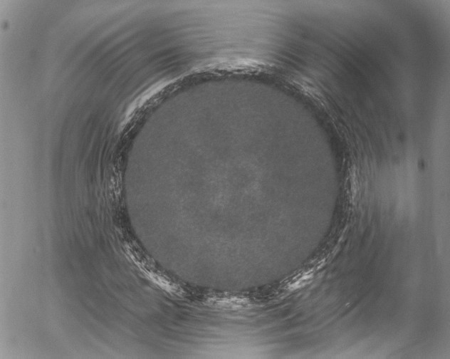 X0000057090920200509120915