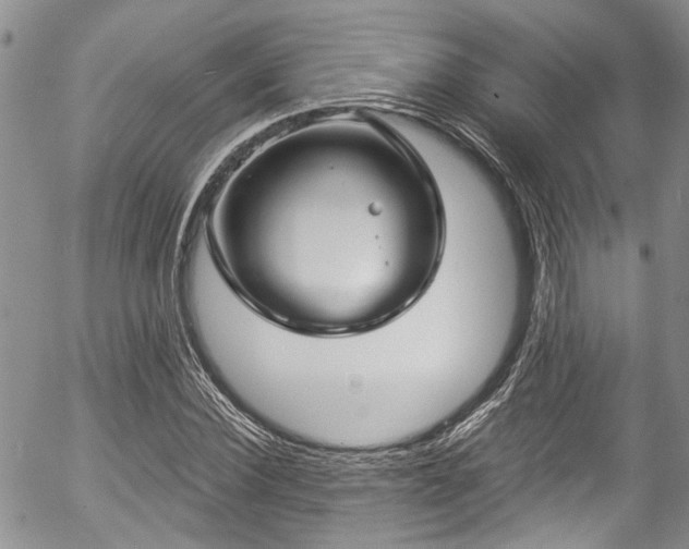 X0000057090924200509120915