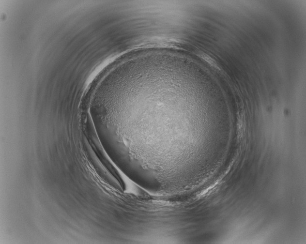 X0000057090925200509120915