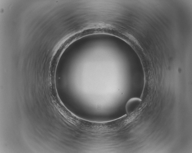 X0000057090927200509120915