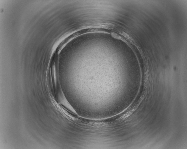 X0000057090928200509120915