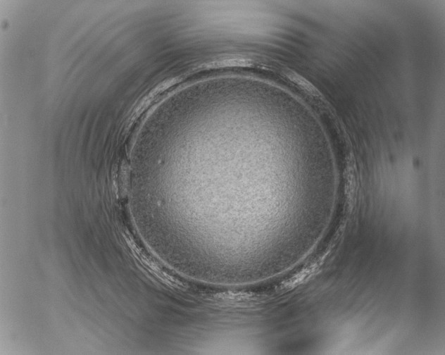 X0000057090929200509120915