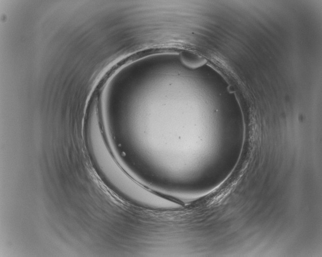 X0000057090932200509120915