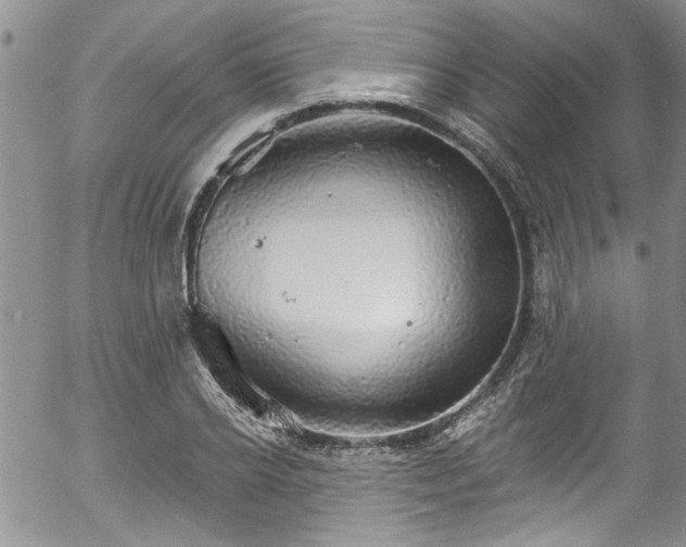 X0000057090934200509120915