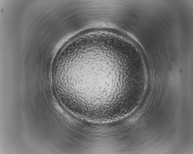 X0000057090935200509120915