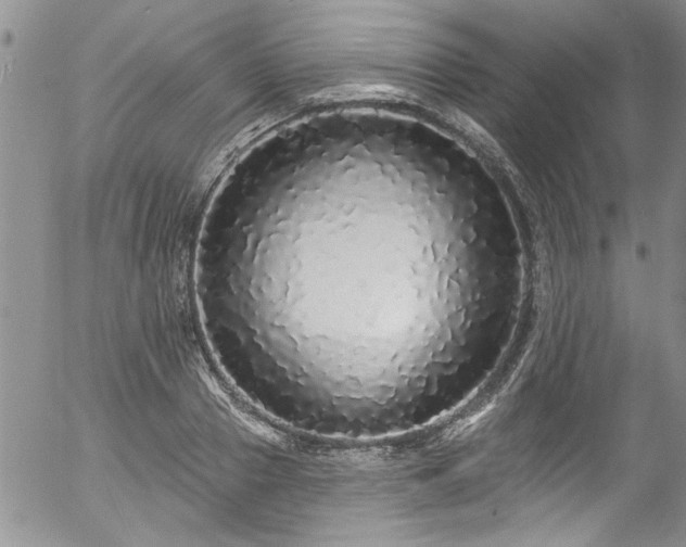 X0000057090937200509120915