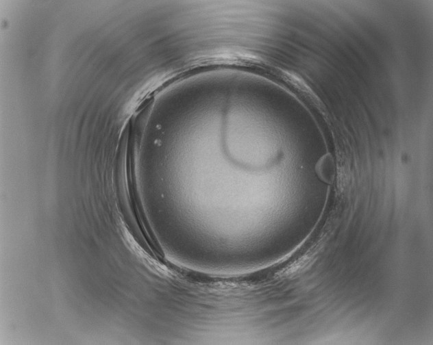 X0000057090938200509120915