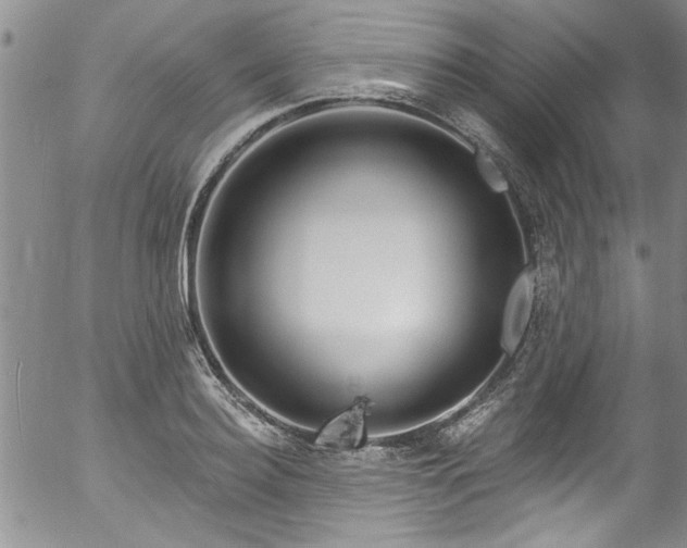 X0000057090940200509120915