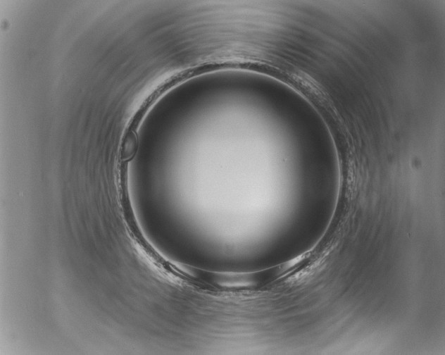 X0000057090942200509120915