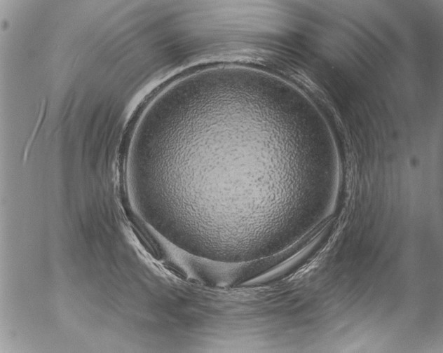 X0000057090944200509120915