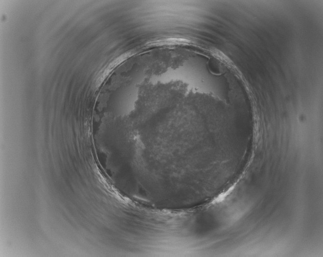 X0000057090945200509120915