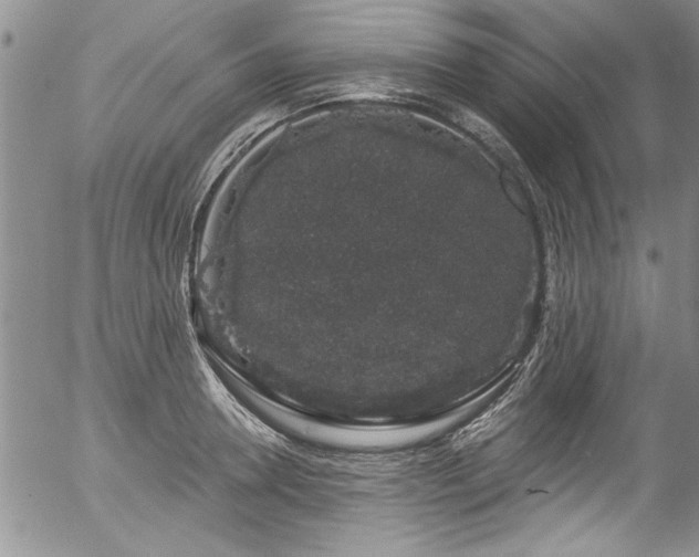 X0000057090946200509120915