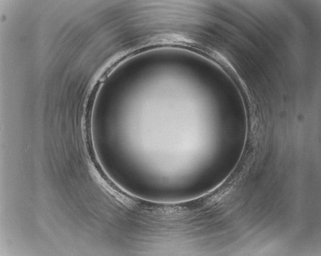 X0000057090947200509120915