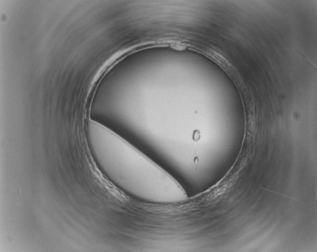 X0000057090948200509120915