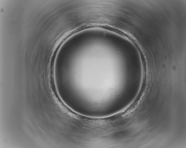 X0000057090949200509120915