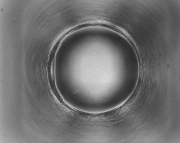 X0000057090951200509120915