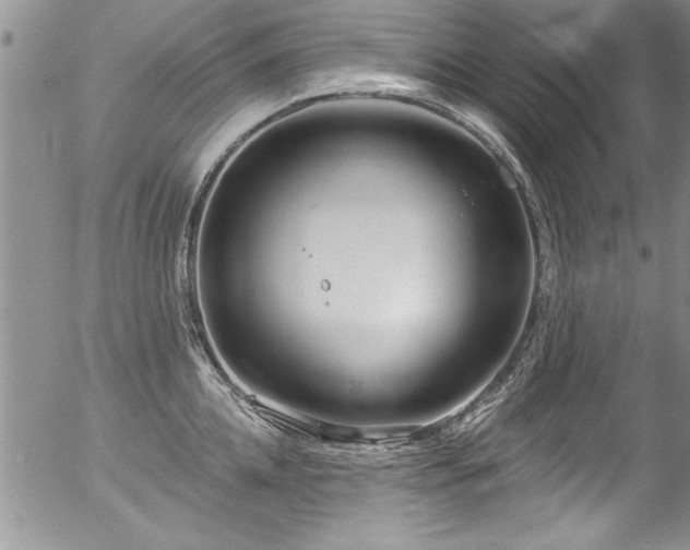 X0000057090952200509120915