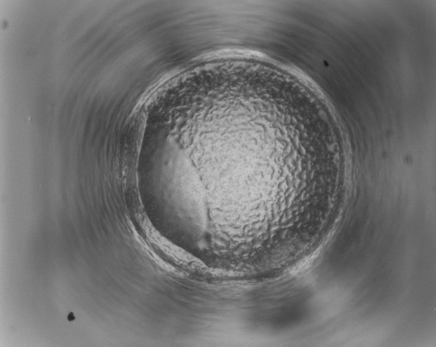 X0000057090953200509120915