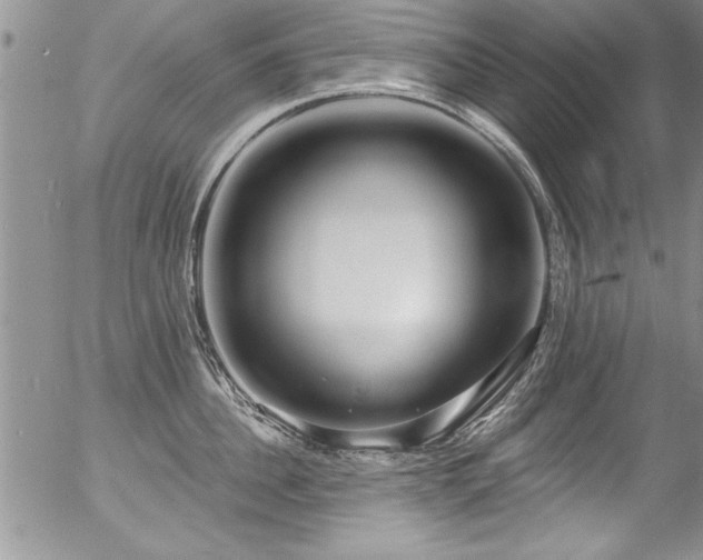 X0000057090956200509120916