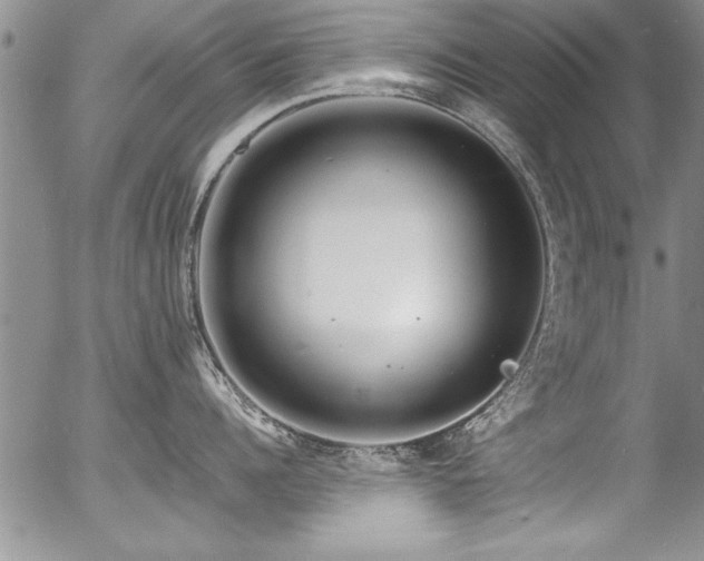 X0000057090960200509120916