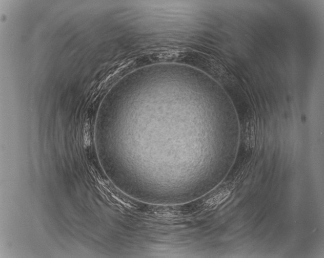 X0000057090962200509120915