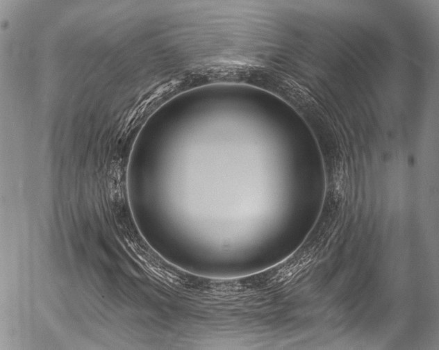 X0000057090964200509120915