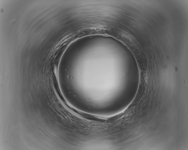 X0000057090968200509120915