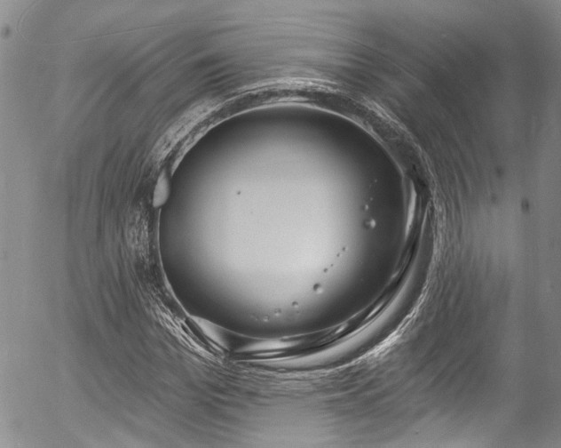 X0000057090969200509120915