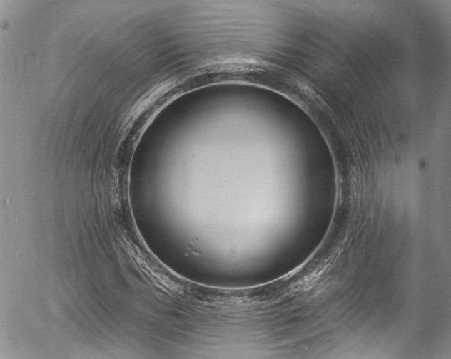 X0000057090970200509120915