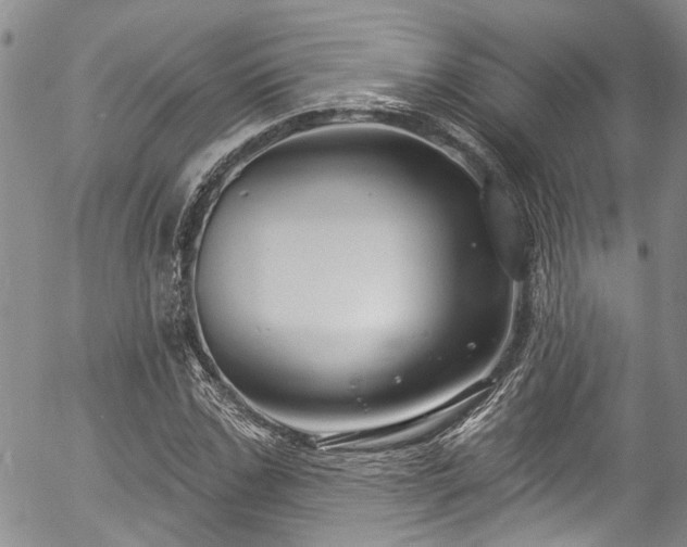 X0000057090971200509120915