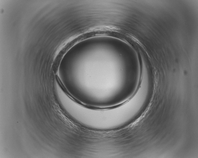 X0000057090973200509120915