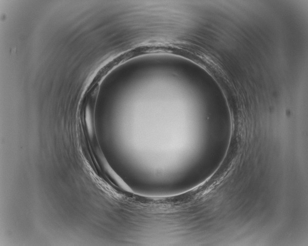 X0000057090976200509120915