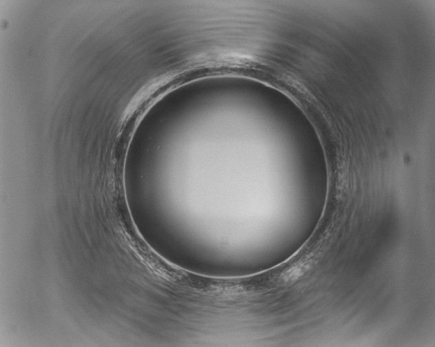 X0000057090978200509120915