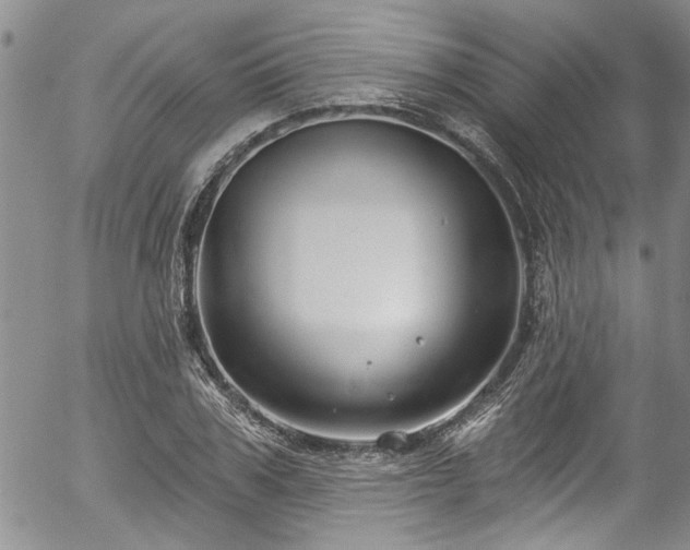 X0000057090979200509120915