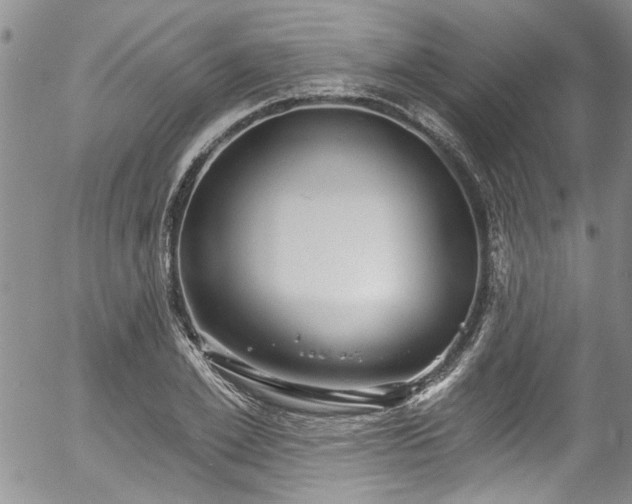 X0000057090981200509120914